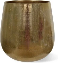 Merkloos Bloempot Karakter Goud - L -Tuin Verkoop 1099x1200 2