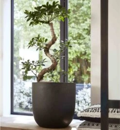 Capi Europe - Bloempot Bol Smooth NL - 35x34 - Zwart - Voor Binnen En Buiten - KBL932 -Tuin Verkoop 1116x1200 2