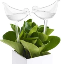 Luxe Planten Waterdruppelaar - Waterbol Vogel - Watergever - Watergeefsysteem Voor Planten & Bloemen - 200ML - Set Van 2 7 Luxe Planten Waterdruppelaar - Waterbol Vogel - Watergever - Watergeefsysteem Voor Planten & Bloemen - 200ML - Set Van 2 -Tuin Verkoop 1160x1200 4