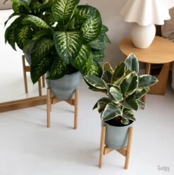 Gadgy Bamboe Plantenstandaard 2 St - Plantentafel - Plantentafeltje Voor Binnen - Plantenrek - Uitschuifbaar - Hout - Ø 20 Tot 30 Cm -Tuin Verkoop 1197x1200 11