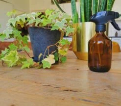 24DOTS Living Plantenspuit | 300 Ml Bruin Amber Glas | Plantensproeier | Plantenspuit Binnen | Waterverstuiver | Vernevelaar -Tuin Verkoop 1200x1051 2