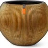 Capi Europe - Vaas Bol Groove XL - 63x51 - Goud - Bloempot Voor Binnen - Opening ⌀42 - GVGB271 1 Capi Europe - Vaas Bol Groove XL - 63x51 - Goud - Bloempot Voor Binnen - Opening ⌀42 - GVGB271 -Tuin Verkoop 1200x1071 3