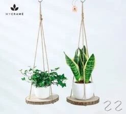 Set Van 2 Boomstam Rond Wandrek Plantenhangers - Boho Jute Houten Plantenrek - Hangpot Voor Binnen/Buiten - Hangende Bloempot Plank - Hangplant Houder - Bohemian Macrame Stijl Wandhanger - Hangplank Plant Hanger - Planthanger - Ø Rond 25-20cm -Tuin Verkoop 1200x1087 5