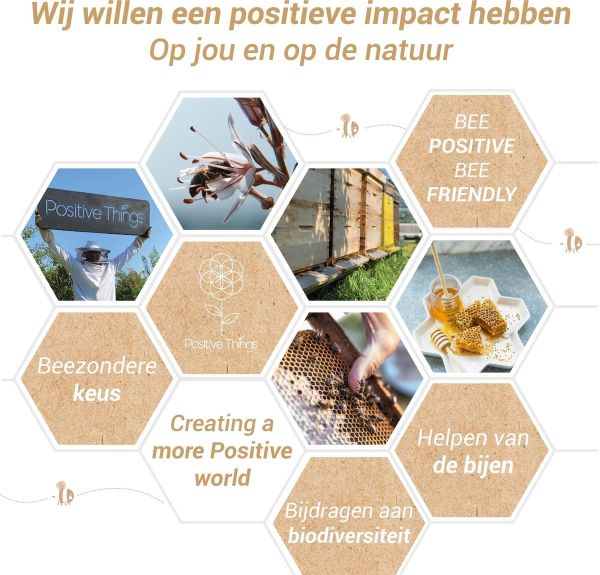 Ophangsysteem - Plafondhaak RVS - Ophanghaak TRX - Hangstoel Buiten - Hangstoel Binnen – Schommelstoel - Schommel - Bokszakken - RVS - 300kg 9 Ophangsysteem - Plafondhaak RVS - Ophanghaak TRX - Hangstoel Buiten - Hangstoel Binnen – Schommelstoel - Schommel - Bokszakken - RVS - 300kg - Afbeelding 7