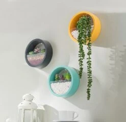 Ronde Muur Plantenbak Zwart - Decoratie - Planten - Interieur - Bloemen - Woondecoratie - Muurbekleding - -Tuin Verkoop 1200x1167 3