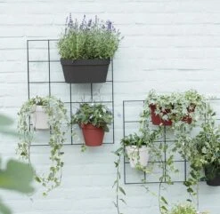 Elho Loft Urban Green Wall Rek 48 - Accessoires Voor Buiten - Ø 47.3 X H 59.0 Cm - Zwart/Living Black -Tuin Verkoop 1200x1173 5