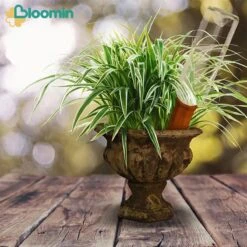 Bloomin Waterdruppelaar Van Terracotta - Waterdruppelaar Voor Planten - Druppelsysteem - Irrigatiesysteem - Watergeefsysteem - Bewateringssysteem - 8 Stuks -Tuin Verkoop 1200x1200 1129