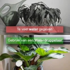 Waterdruppelaar Set Van 12 Stuks - Waterdruppelaar Voor Planten - Watergeefsysteem - Waterbol Irrigatiesysteem - Automatisch Druppelsysteem Voor Kamerplanten & Tuin - Watergever - Transparant - 15cm -Tuin Verkoop 1200x1200 1155