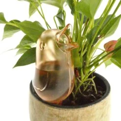 JS Drippy - Waterdruppelaars Set Van 2 Stuks - Druppelaar Vogel - Druppelsysteem Planten - Watergeefsysteem Kamerplanten - Waterbol - Roze -Tuin Verkoop 1200x1200 1158