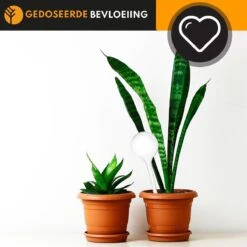 Waterdruppelaar Set Van 6 Stuks Voor Planten Transparant – 27 CM – Automatisch Watergeefsysteem Voor Kamerplanten – Planten Watergever Met Druppelsysteem – Waterbol -Tuin Verkoop 1200x1200 1161