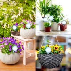 Druppelsysteem 12 Stuks Waterdruppelaar Voor Planten - Waterafgiftesysteem Voor 2 Weken - Beregening Voor Kamerplanten -Tuin Verkoop 1200x1200 1172