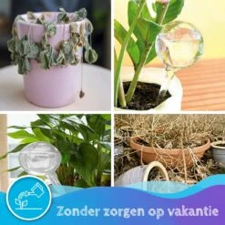 Summer Spark Waterdruppelaar Voor Planten 6 Stuks Transparant – 27 CM X 8 CM – 250 ML – Automatisch Watergeefsysteem Voor Kamerplanten – Planten Watergever Met Druppelsysteem – Waterbol -Tuin Verkoop 1200x1200 1179