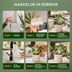 STFF & Co® Waterdruppelaar Voor Planten – Irrigatiesysteem Automatisch Watergeefsysteem – Waterbollen Voor Planten – Bewateringssysteem – 8 Stuks - 5cm -Tuin Verkoop 1200x1200 1191