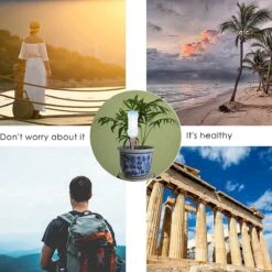 BOTC Waterdruppelaar Set Van 6 Stuks Voor Planten - Watergeefsysteem 18 BOTC Waterdruppelaar Set Van 6 Stuks Voor Planten - Watergeefsysteem -Tuin Verkoop 1200x1200 1210