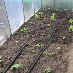 Druppelslang Actiepakket 100 Meter - Leidingshop -Tuin Verkoop 1200x1200 1212