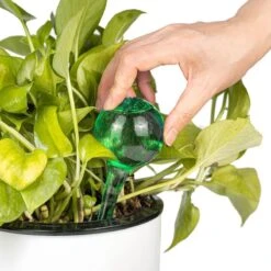 Merkloos Decopatent® 4 Stuks - Waterdruppelaar Voor Planten - Watergever - Glas - Waterbollen - Watergeefsysteem - Plantenbollen - Groen 21 Merkloos Decopatent® 4 Stuks - Waterdruppelaar Voor Planten - Watergever - Glas - Waterbollen - Watergeefsysteem - Plantenbollen - Groen -Tuin Verkoop 1200x1200 1215