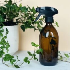 Groeikruid® Plantenspuit | 500 Ml Amber Glas | Met Zwarte Spraykop | Plantensproeier Binnen | Waterverstuiver | Verstuiver | Waterspuit -Tuin Verkoop 1200x1200 1304