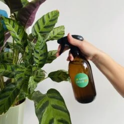 Groeikruid® Plantenspuit | 500 Ml Amber Glas | Met Zwarte Spraykop | Plantensproeier Binnen | Waterverstuiver | Verstuiver | Waterspuit -Tuin Verkoop 1200x1200 1305