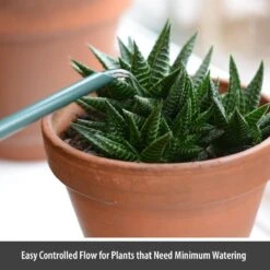 CKB LTD - Gieters - Gieter - Retro - Gietertje - Kleine Gieter Voor Binnen En Buiten - 1 Liter - Groen Plantengieter Tuingieter Bloemengieter Mini Klein Metaal Binnenplantjes Gietertjes Tuingieters Vintage Kamerplanten Buitengieter Binnenshuis -Tuin Verkoop 1200x1200 1486