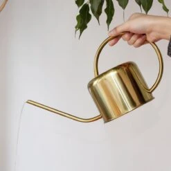 Kikkerland Vintage Gieter - Plantengieter Voor Binnen - Goud - 1,2L - Retro - Metaal -Tuin Verkoop 1200x1200 1491