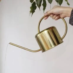 Kikkerland Vintage Gieter - Plantengieter Voor Binnen - Goud - 1,2L - Retro - Metaal -Tuin Verkoop 1200x1200 1493