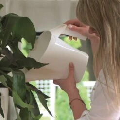 Prosperplast 1x Stuks Antraciet Bloemen/planten Gieters Kunststof 2 Liter - Gieters Voor Binnen En Buiten -Tuin Verkoop 1200x1200 1499