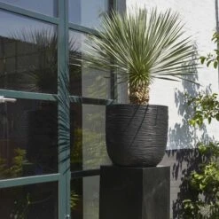 Capi Europe - Bloempot Bol Rib NL - 35x34 - Zwart - Voor Binnen En Buiten - KBLR932 -Tuin Verkoop 1200x1200 1550