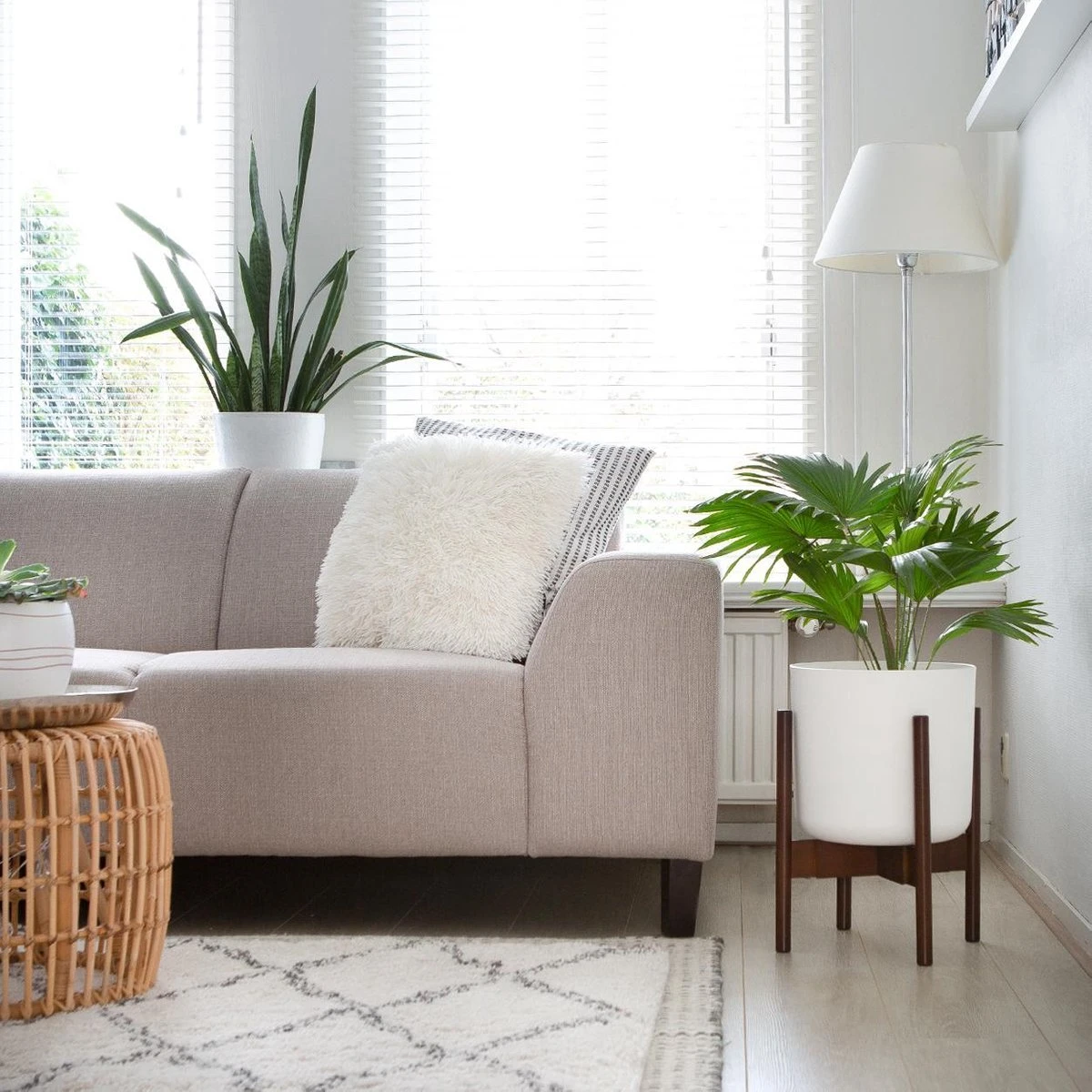 LifeGoods Planten Standaard - Uitschuifbare Bloempothouder - 20 Tot 30 Cm - Donker Bamboe 6 LifeGoods Planten Standaard - Uitschuifbare Bloempothouder - 20 Tot 30 Cm - Donker Bamboe - Afbeelding 4