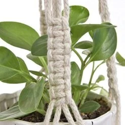 4 Stuks Plantenhangers - Boho Handgeweven Katoen Hangpot Voor Binnen/Buiten - Bloempot Met Kralen - Macramé Touw/Koord Hangplant Houder - Bohemian Wandhanger Decoratie - Verticale Tuin Plant Hanger Bloempothouder Planthanger Wit -Tuin Verkoop 1200x1200 1581