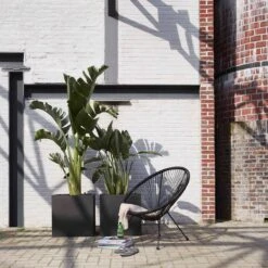 Capi Europe - Bloempot Vierkant Smooth NL - 50x50x50 - Zwart - Voor Binnen En Buiten - KBL904 -Tuin Verkoop 1200x1200 1583