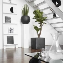 Capi Europe - Bloempot Vierkant Smooth NL - 50x50x50 - Zwart - Voor Binnen En Buiten - KBL904 -Tuin Verkoop 1200x1200 1590