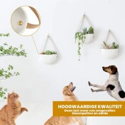 Plantenhanger Keramiek – Set Van 3 – Wit Steen- Hangpot – Hangende Bloempot Plantenpot - 3 Verschillende Koorden - 18 X 11 X 7 Cm -Tuin Verkoop 1200x1200 1604