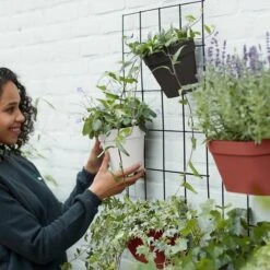 Elho Loft Urban Green Wall Rek 48 - Accessoires Voor Buiten - Ø 47.3 X H 59.0 Cm - Zwart/Living Black -Tuin Verkoop 1200x1200 1616