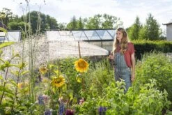 GARDENA - Comfort Broeskop - 5 Straalsoorten - Grijs -Tuin Verkoop 1200x800 404