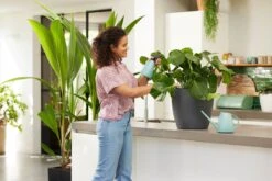 Elho Brussels Gieter 1,8l - Gieter Voor Binnenkweken En Oogsten - Ø 33.0 X H 17.0 Cm - Groen/Mint -Tuin Verkoop 1200x800 430