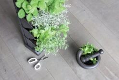 Prosperplast Verticale Kruidentuin Kunststof - Staand/hangend - Modulair - Antraciet Grijs - L 20 X B 11 X H 48 Cm - Incl. Kruidenschaar -Tuin Verkoop 1200x800 447