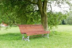 MaximaVida Tuinbank Budapest Oil 170 Cm - Uit Exclusief Mahoniehout -Tuin Verkoop 1200x800 57