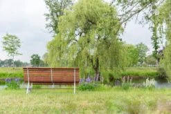 MaximaVida Tuinbank Budapest Oil 170 Cm - Uit Exclusief Mahoniehout -Tuin Verkoop 1200x800 58