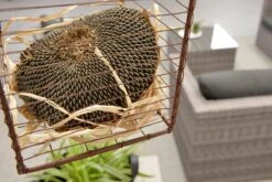 Garden Impressions Montana Loungeset - Organic Grey -Tuin Verkoop 1200x801 12