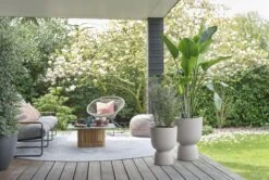 Elho Pure Coupe 41 - Bloempot Voor Binnen & Buiten - Ø 41.3 X H 57.9 Cm - Beige/Balanced Beige -Tuin Verkoop 1200x808 4