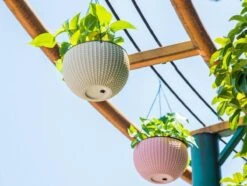 Tuin Verkoop -Tuin Verkoop 1200x904 5