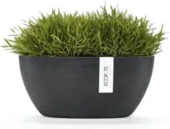 Ecopots | Sofia | Dark Grey | Binnenbloempot | 30 Cm | Ovaal -Tuin Verkoop 1200x908 4