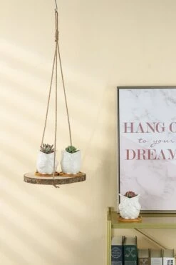 Set Van 2 Boomstam Rond Wandrek Plantenhangers - Boho Jute Houten Plantenrek - Hangpot Voor Binnen/Buiten - Hangende Bloempot Plank - Hangplant Houder - Bohemian Macrame Stijl Wandhanger - Hangplank Plant Hanger - Planthanger - Ø Rond 25-20cm -Tuin Verkoop 799x1200 38