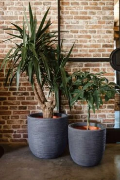 Capi Europe - Bloempot Bol Rib NL - 35x34 - Zwart - Voor Binnen En Buiten - KBLR932 -Tuin Verkoop 800x1200 135