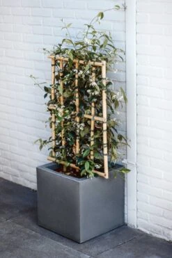 Capi Europe - Bloempot Vierkant Smooth NL - 50x50x50 - Zwart - Voor Binnen En Buiten - KBL904 -Tuin Verkoop 800x1200 140
