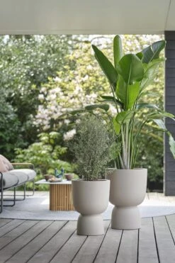 Elho Pure Coupe 41 - Bloempot Voor Binnen & Buiten - Ø 41.3 X H 57.9 Cm - Beige/Balanced Beige -Tuin Verkoop 800x1200 148