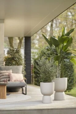 Elho Pure Coupe 41 - Bloempot Voor Binnen & Buiten - Ø 41.3 X H 57.9 Cm - Beige/Balanced Beige -Tuin Verkoop 800x1200 150