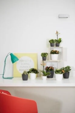 Elho B.for Soft Rond 30 - Bloempot Voor Binnen - Ø 29.5 X H 27.6 Cm - Antraciet -Tuin Verkoop 800x1200 151