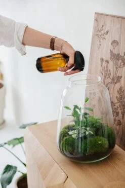 24DOTS Living Plantenspuit | 500 Ml Bruin Amber Glas | Plantensproeier | Plantenspuit Binnen | Waterverstuiver | Vernevelaar -Tuin Verkoop 800x1200 87