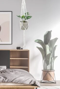 4 Stuks Luxe Macrame Plantenhangers - Boho Handgeweven Katoen Hangpot Voor Binnen/Buiten - Hangende Bloempot Met Kralen - Macramé Touw/Koord Hangplant Houder - Bohemian Wandhanger Decoratie - Plant Hanger - Verticale Tuin Bloempothouder Planthanger -Tuin Verkoop 809x1200 1